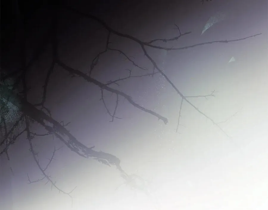 第217话 挽回前世悲剧162
