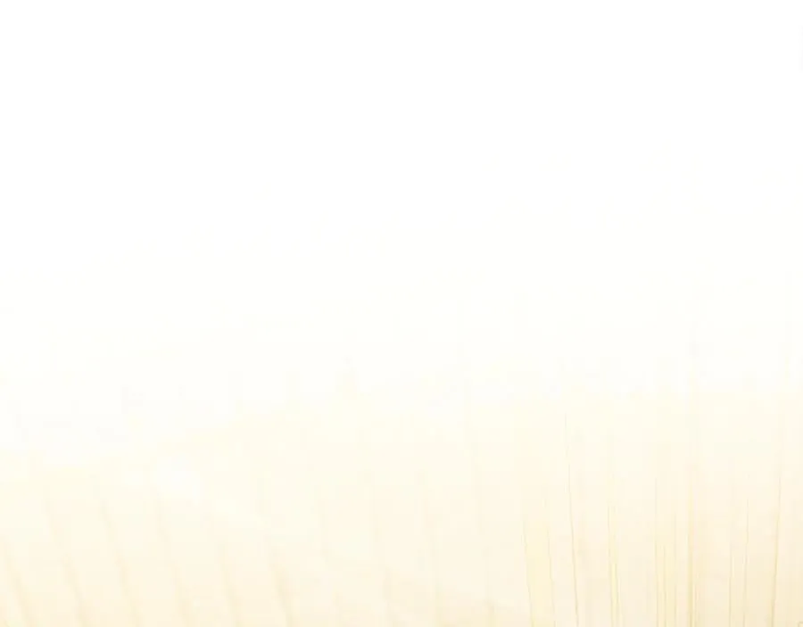 第208话 组织解散25