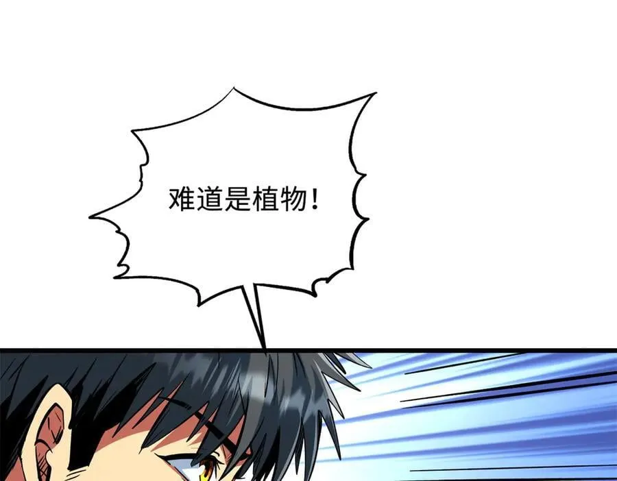 326 小银银寻宝26