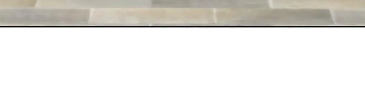 321 我瞎我瞎！再骗瞎掉！37