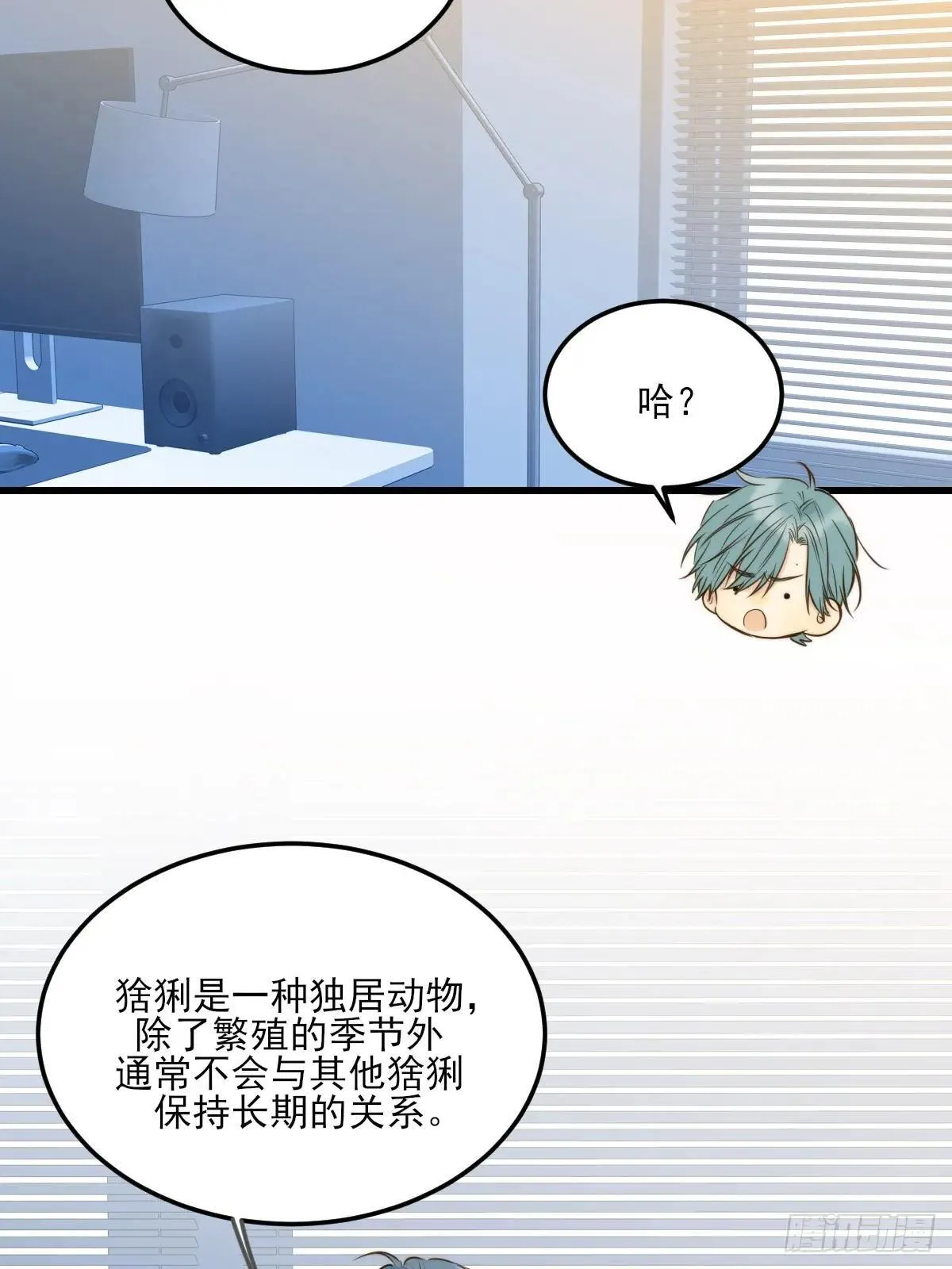 爱的小狗21