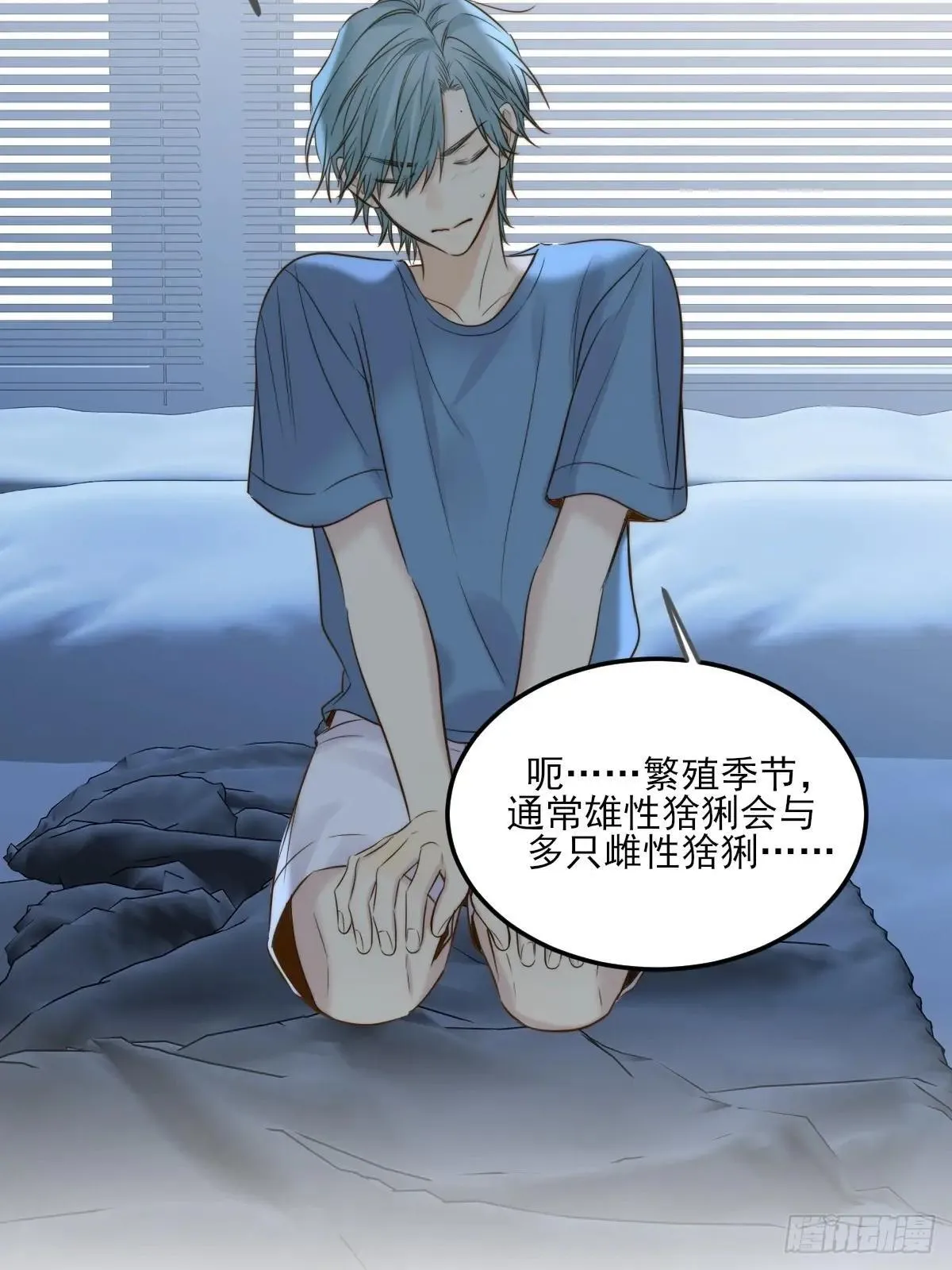 爱的小狗22