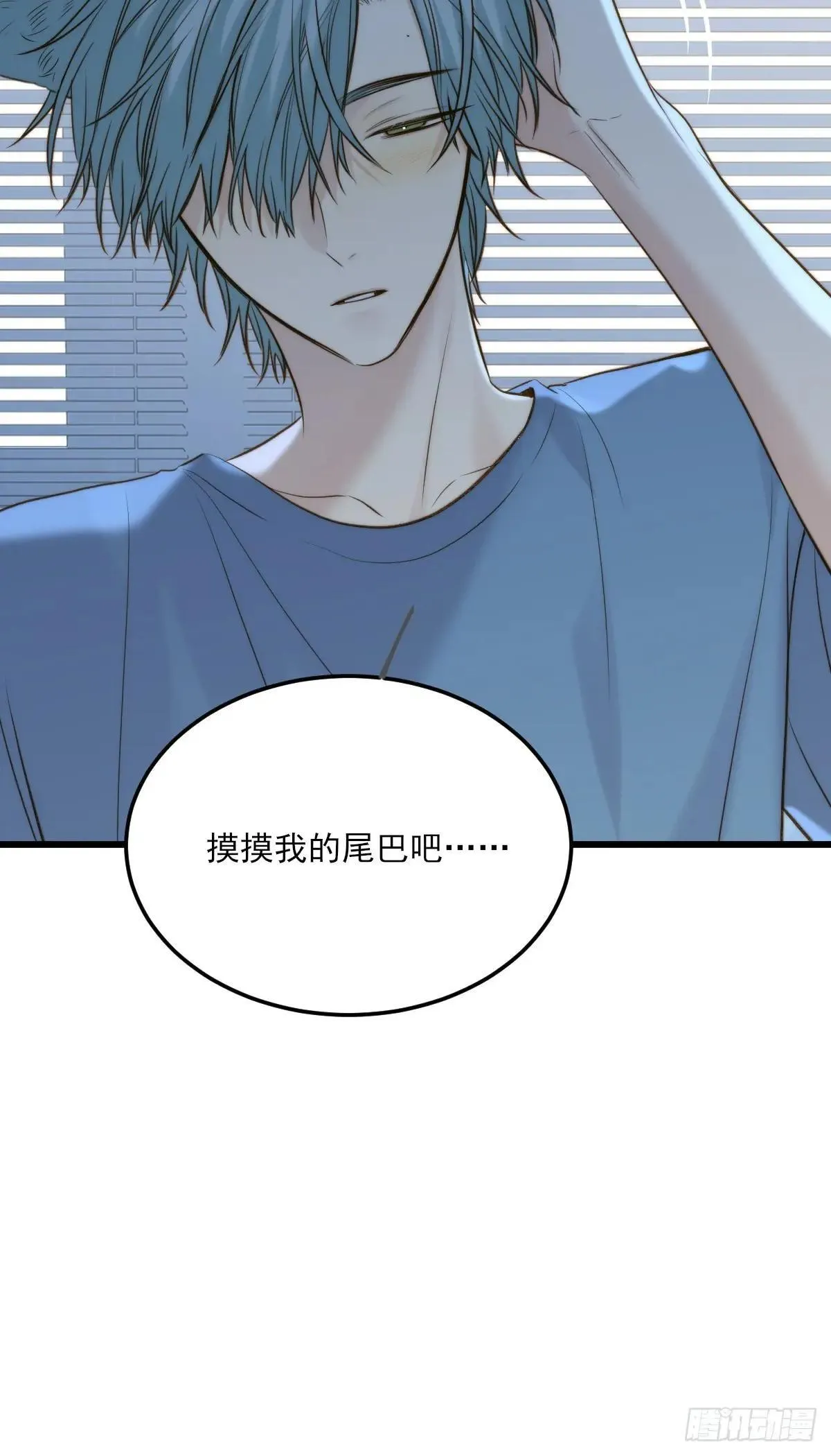 爱的小狗37
