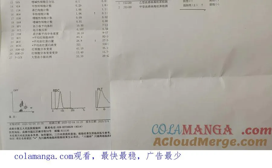 请假条——甲流了1