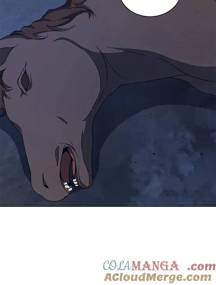 116.测试72