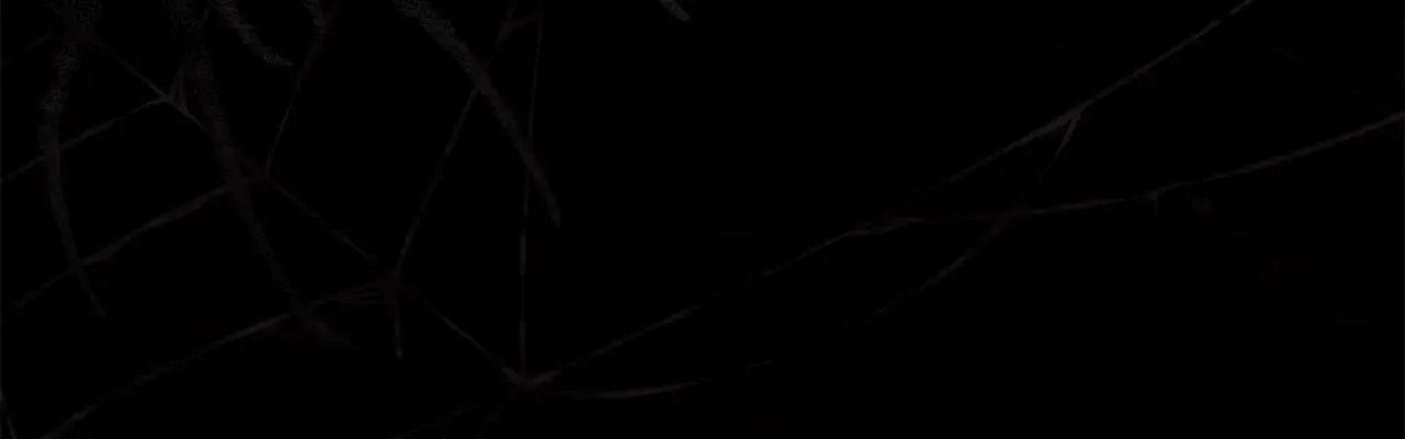 93话 伊娜丝，求你别哭145