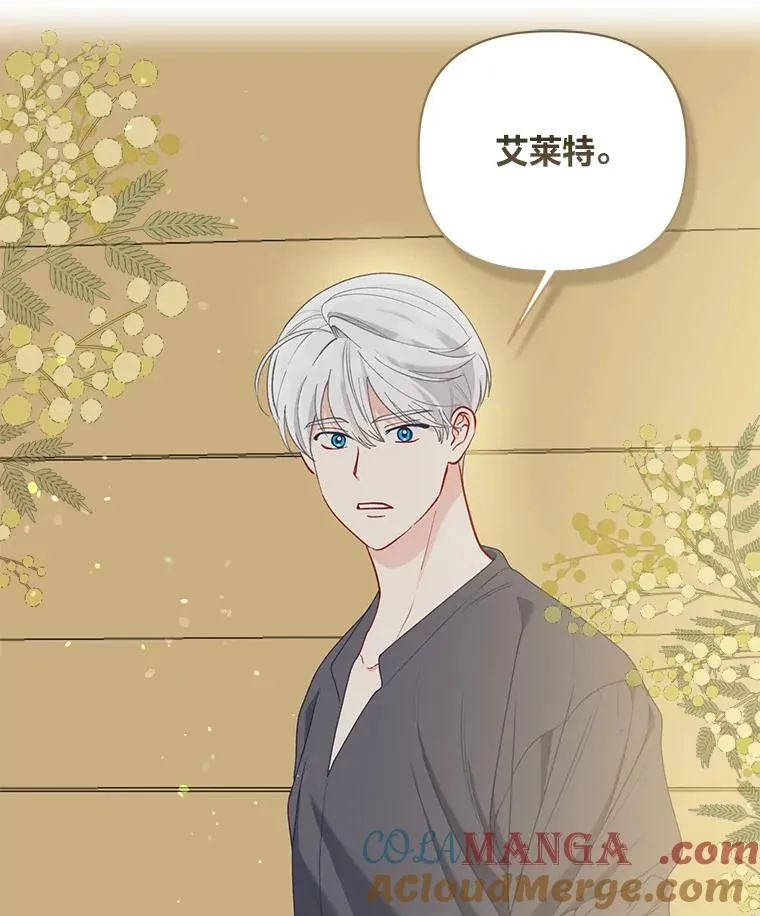 88.冰雪女王的童话20