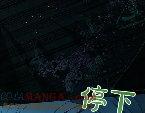 第127话 家务事216
