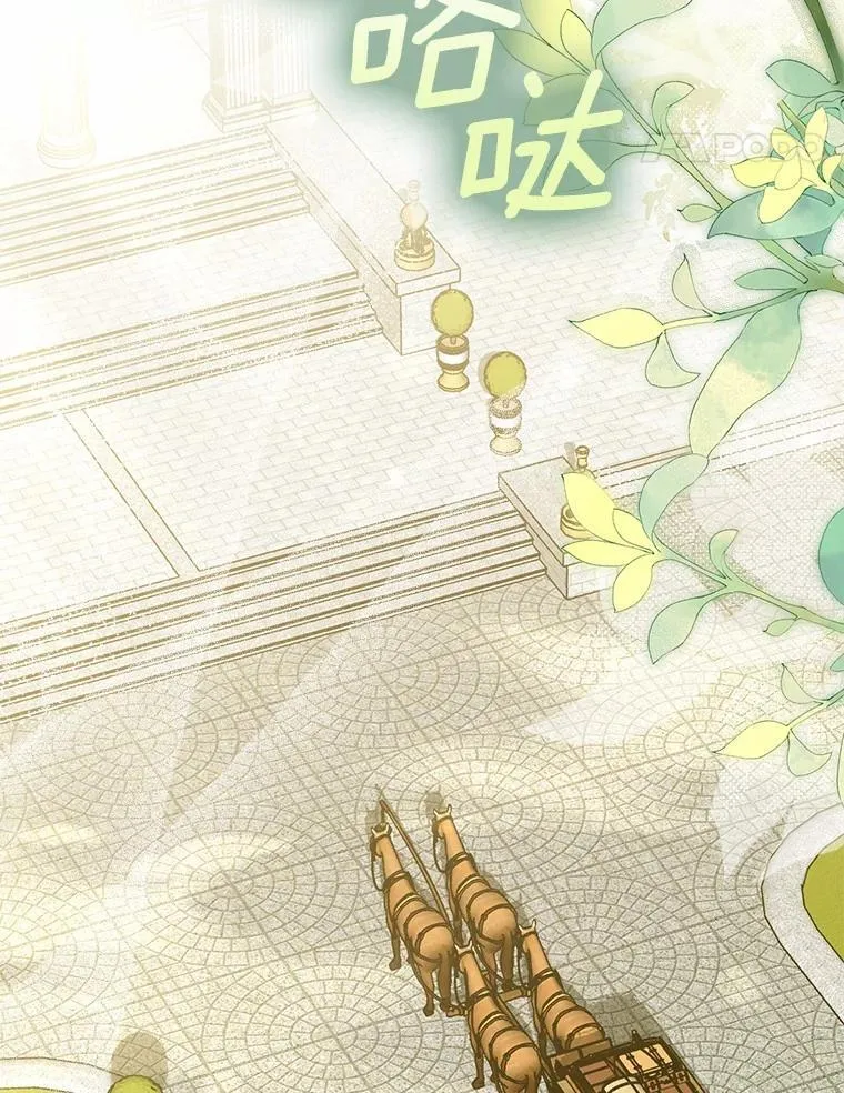63.回到领地39