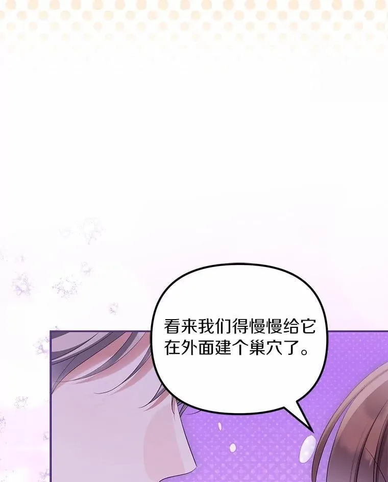 63.回到领地77
