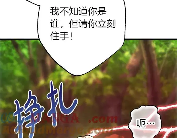 第126话 截胡132