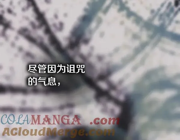 第127话 拉开序幕228