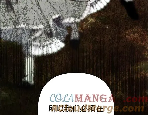 第125话 计划周全168
