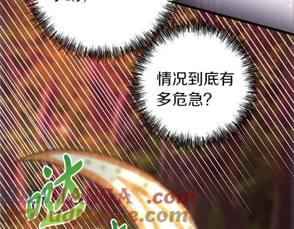 第127话 拉开序幕248