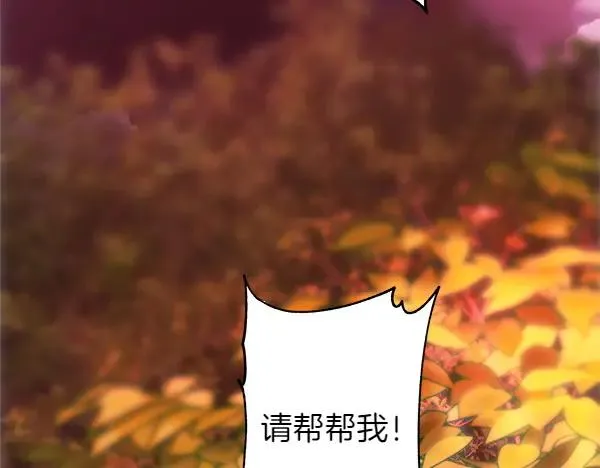 第127话 拉开序幕246