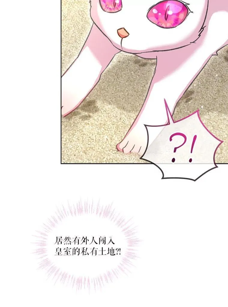 76.毁掉他66
