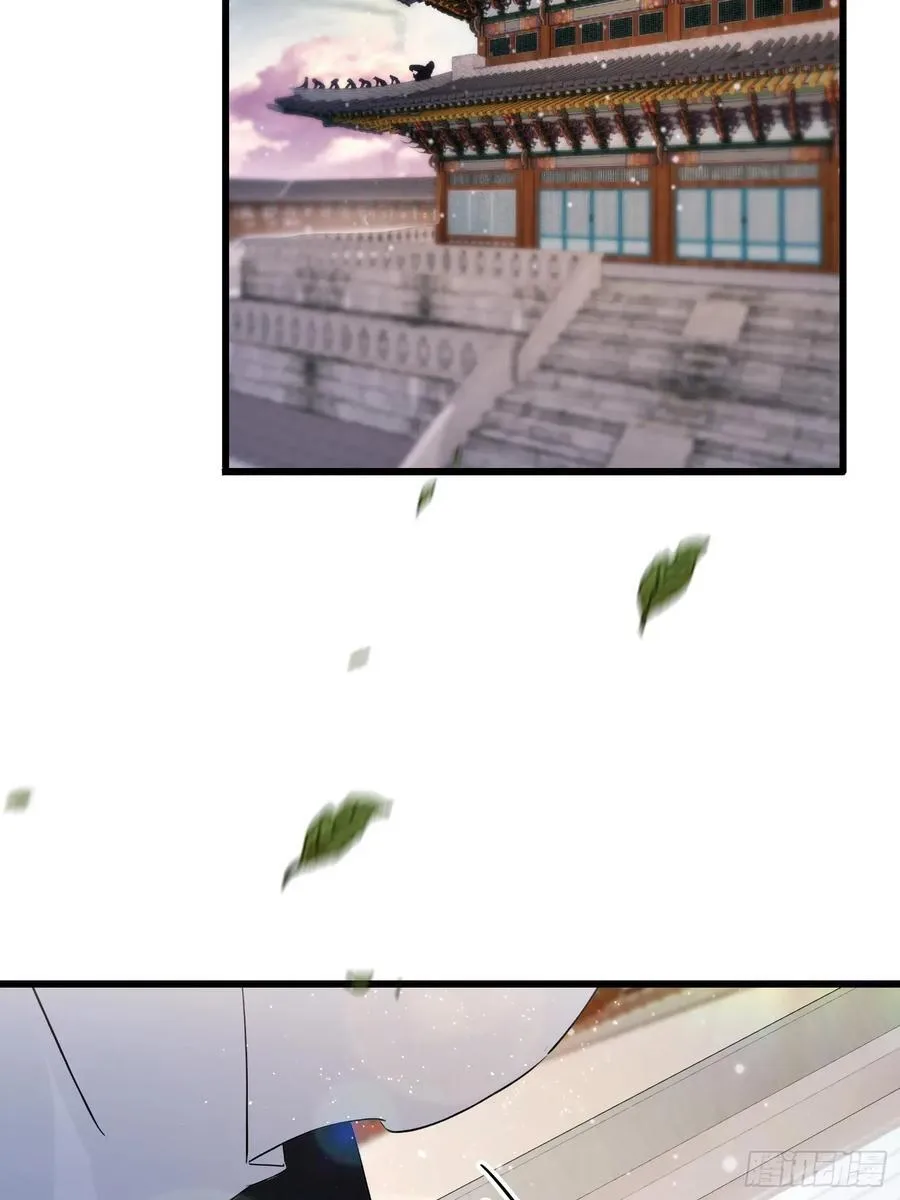 第240话 你的叶来了4