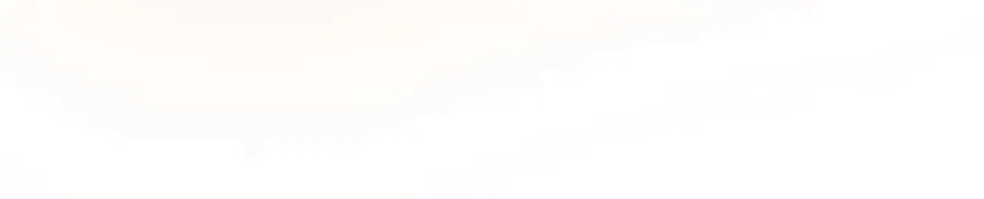 112 税务局的凝视75