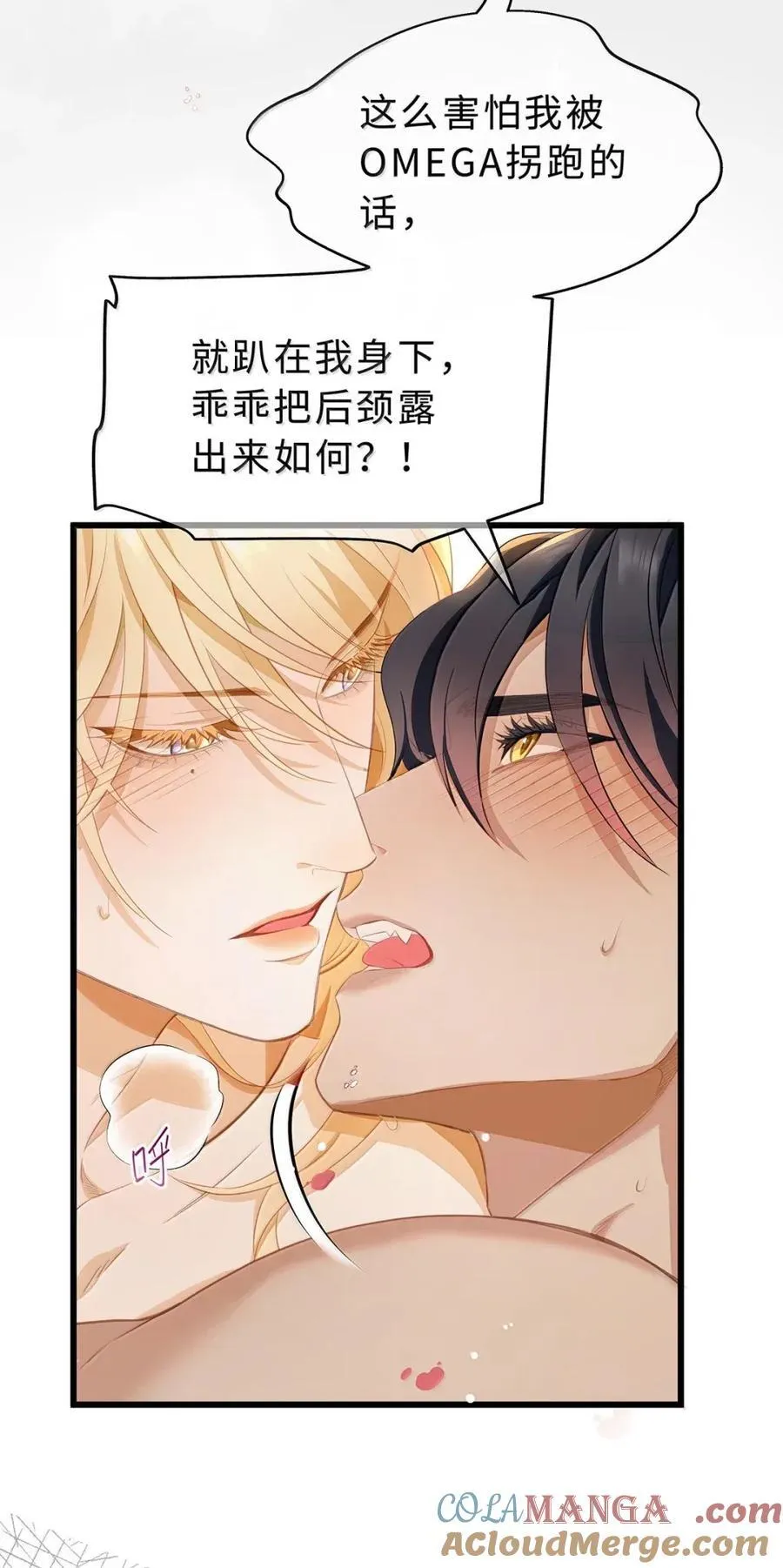 75 信息素纠缠14