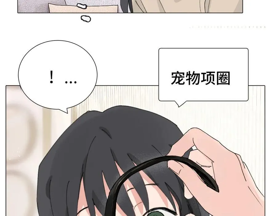 四十八话 耐心与冷静34