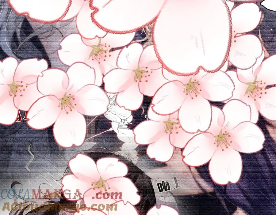 剧情预告24