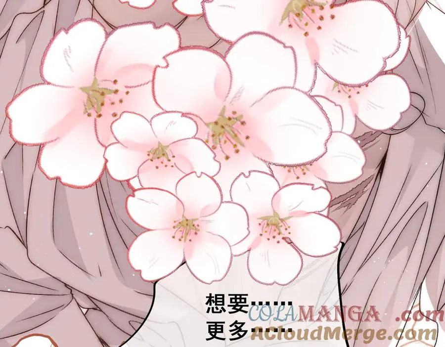 剧情预告12