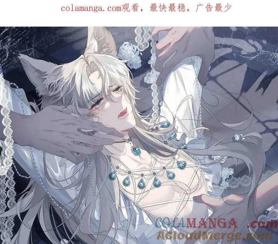 第41话 他疯了！0