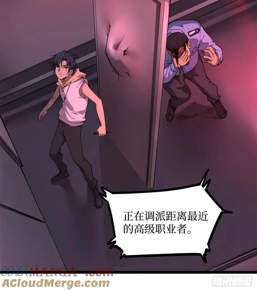 17 强援到来2