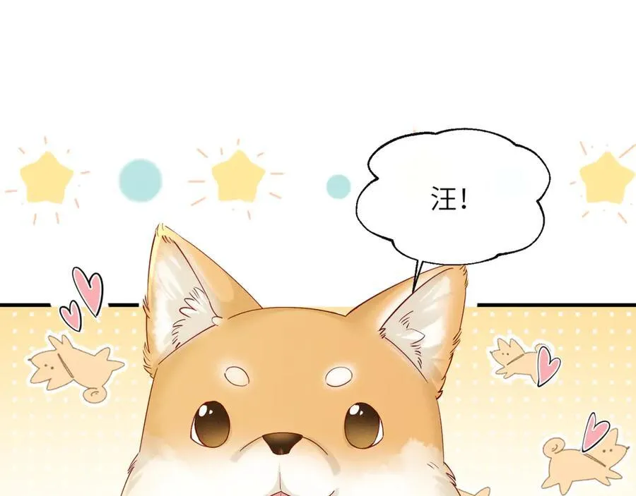 第36话 大黄保护九九3