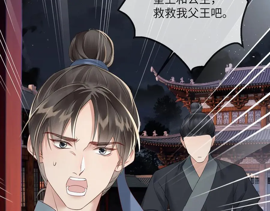 第20话 生辰宴11
