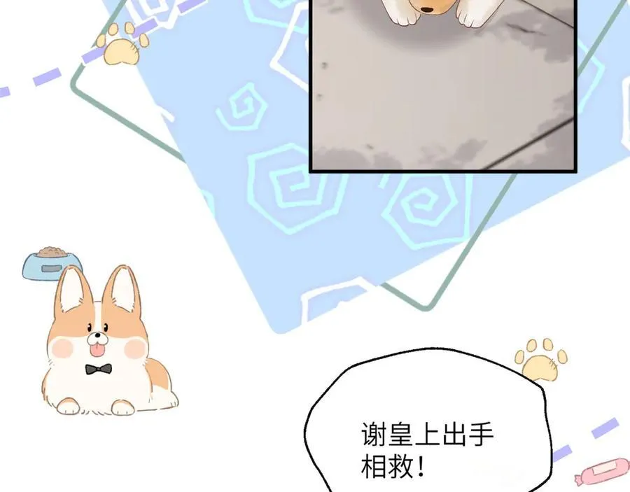 第36话 大黄保护九九83