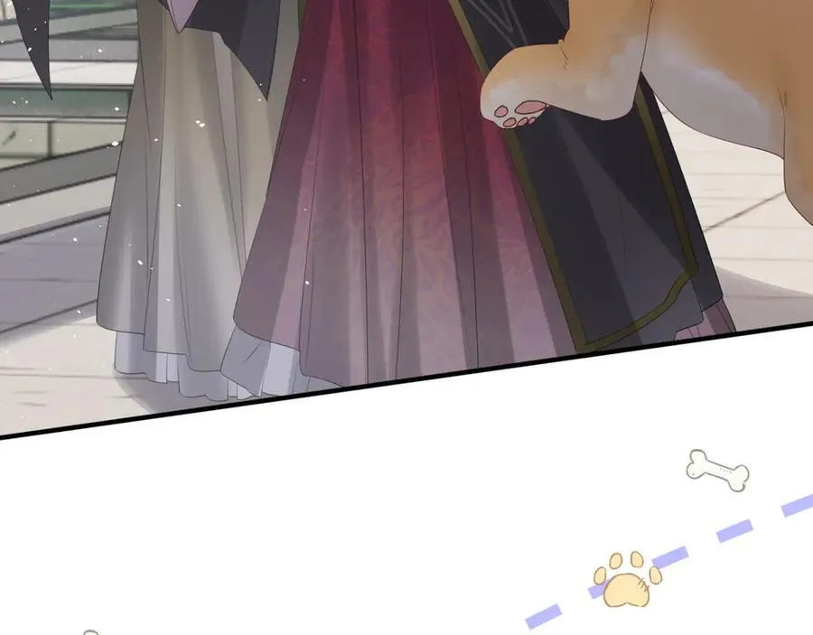 第36话 大黄保护九九81