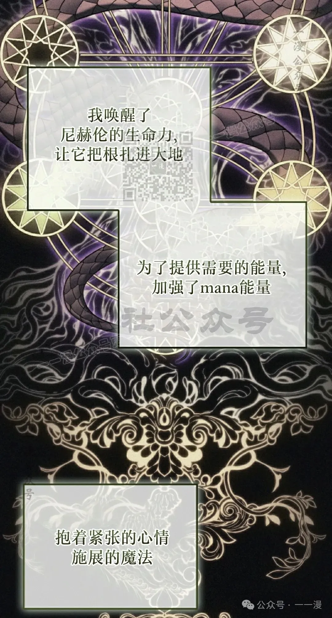 第41集5