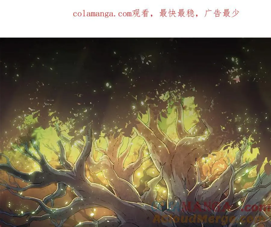 第339话 迷雾大山的金色闪光0