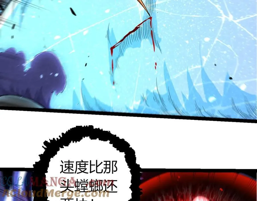 第339话 迷雾大山的金色闪光88