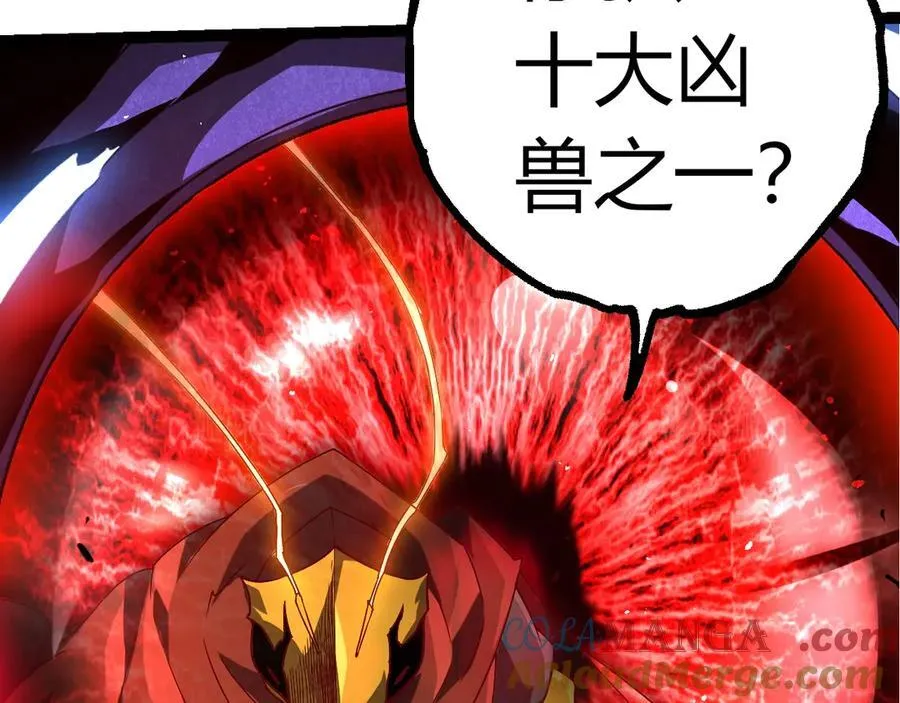 第339话 迷雾大山的金色闪光72