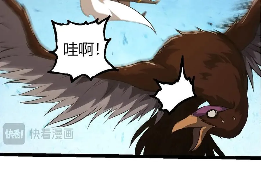 第330话 一级保护动物43