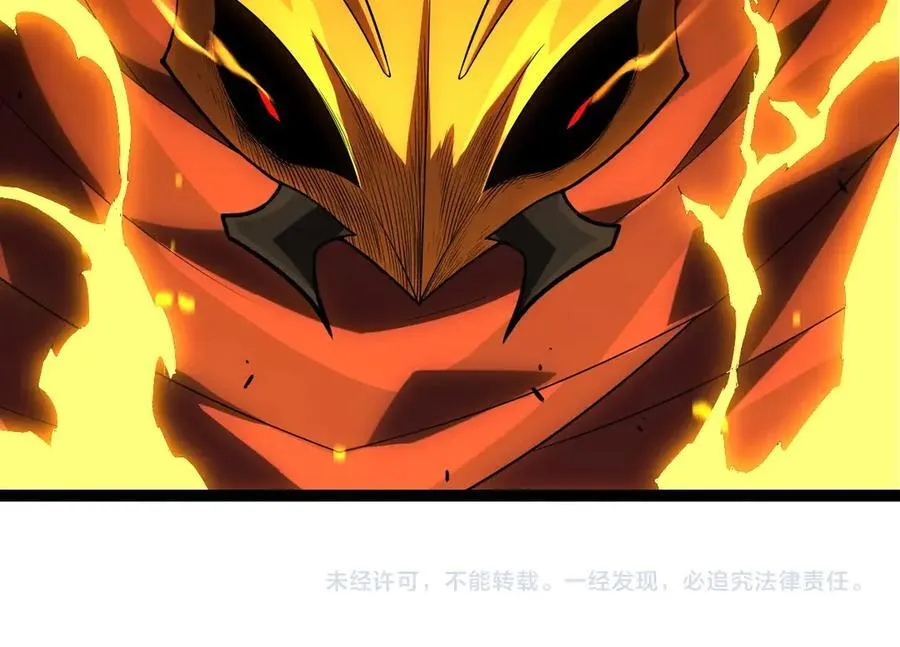 第339话 迷雾大山的金色闪光103
