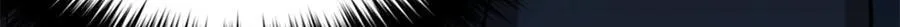 300 绝巅的理念85