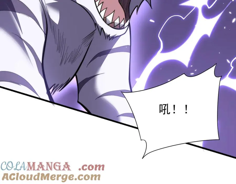 第98话 宠物捕捉76