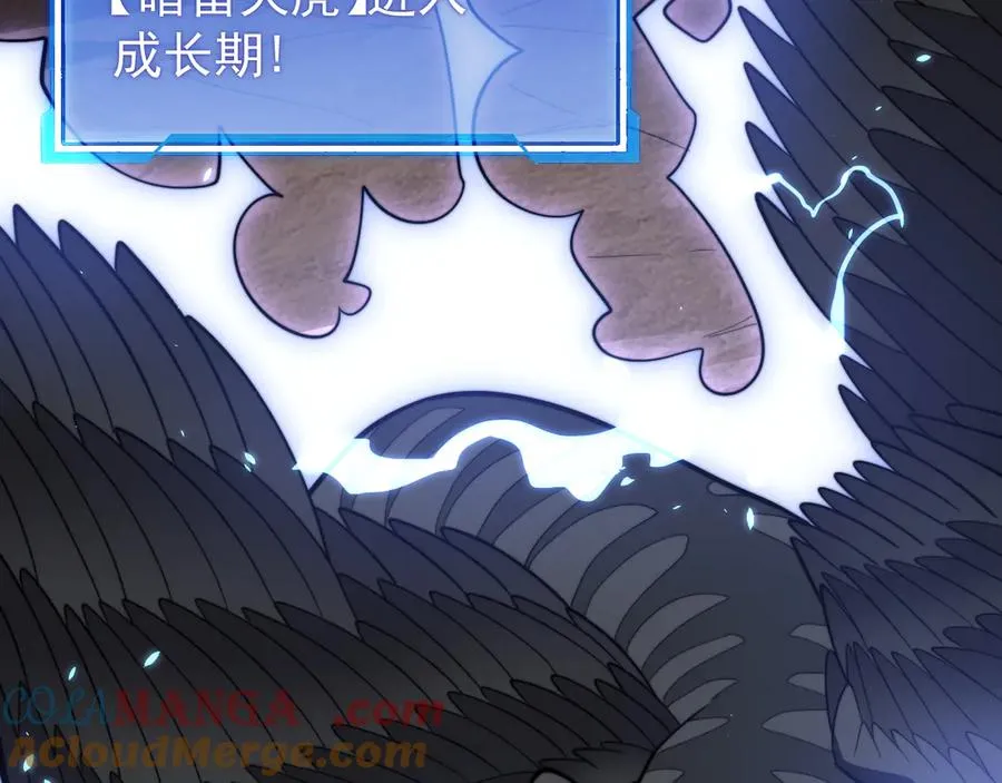 第100话 初次飞行12