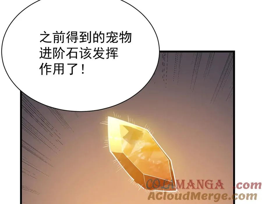 第99话 宠物进阶24