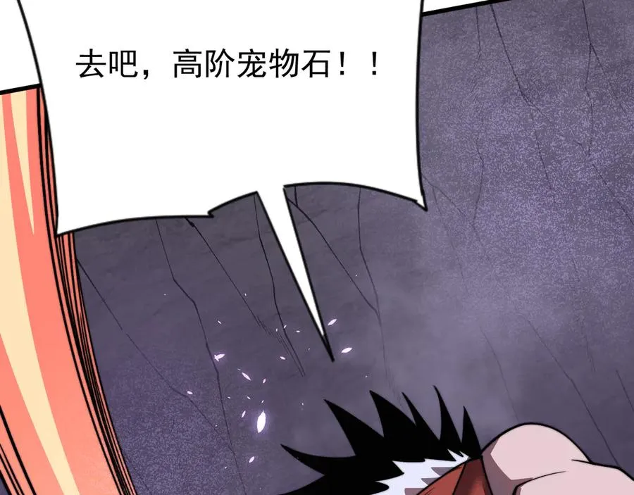 第98话 宠物捕捉142
