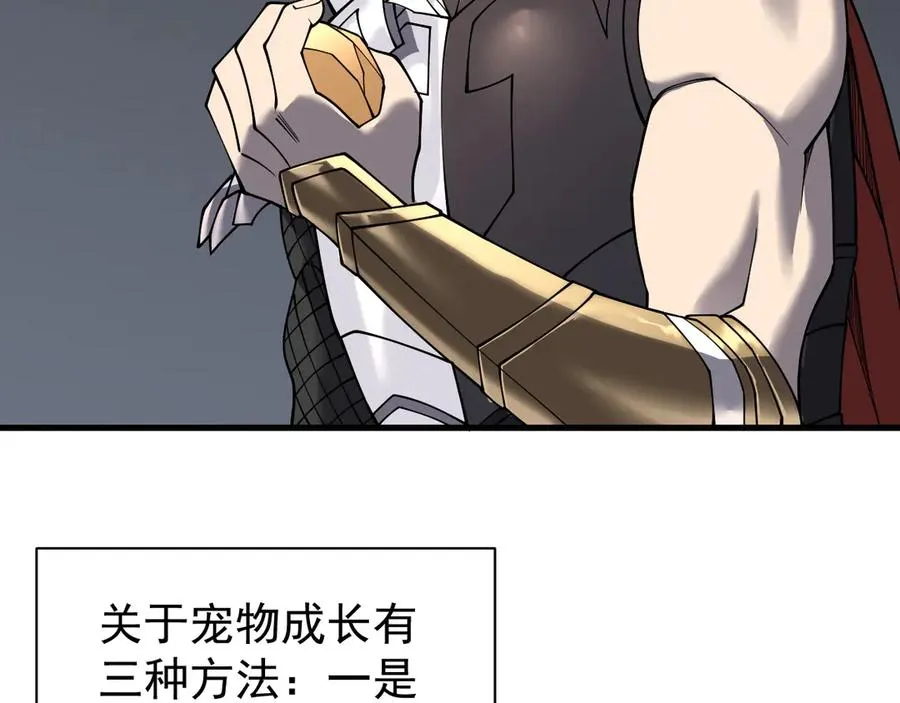 第99话 宠物进阶95