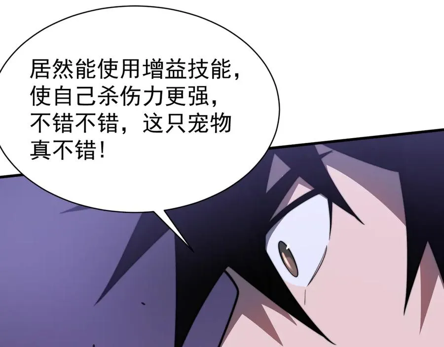 第98话 宠物捕捉95