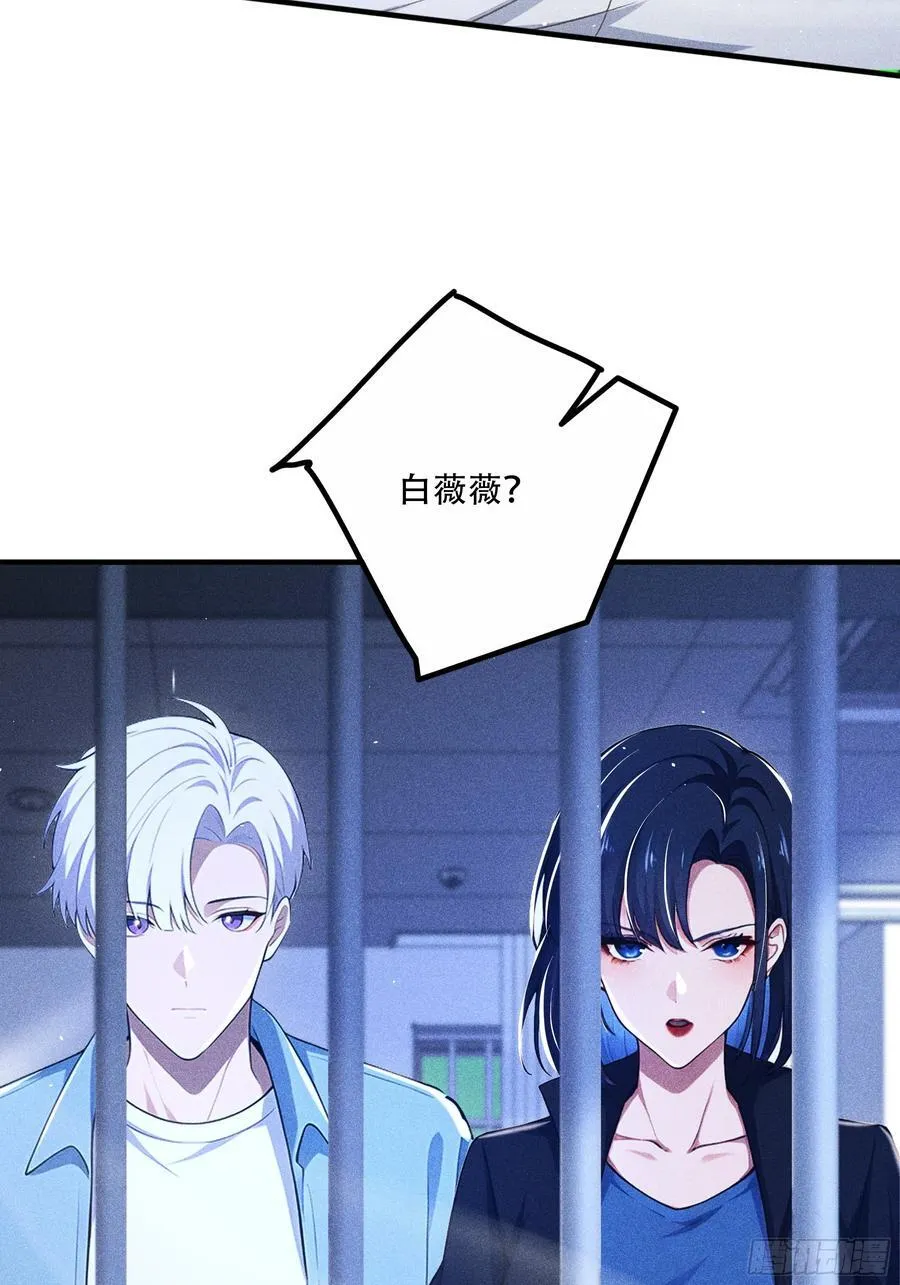 113 合作愉快23