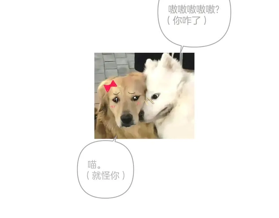 第46话 突袭114