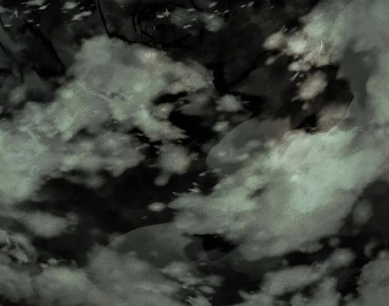 第545话 无余涅槃与羽衣精之死149