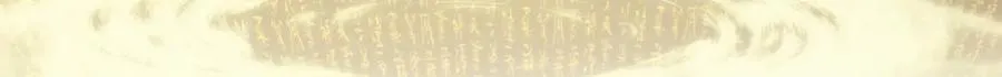 203 轮回天仙境,快哉快哉126