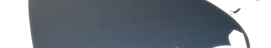 204 神宫的邀请,剑修黑影119